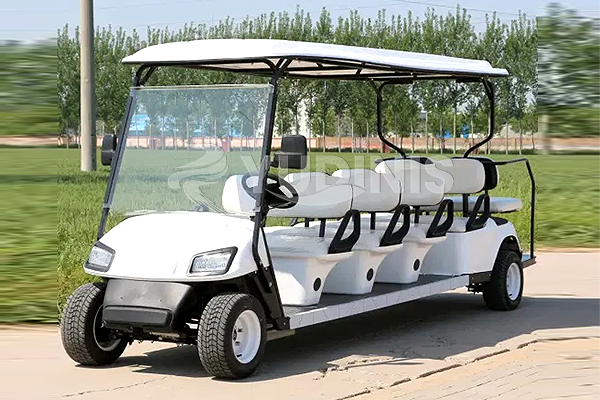 10 Passenger Golf Cart For Sale 4500 5500 Custom Design