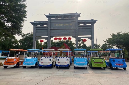 resort shared golf carts custom style