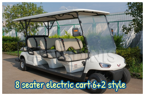 Dinis 8 passenger electric cart